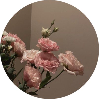 Insta Profile Pic Flowers, Aesthetic Pic For Instagram Profile, Profile Picture Aesthetic Flower, Insta Profile Photo Aesthetic, Photography Icon Instagram Highlight, Flower Pfp Icon, Flower Profile Picture Instagram, Cute Pfp Insta, Instagram Profile Picture Flower