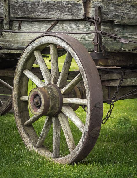 Wheels Aesthetic, Covered Wagons, Wood Wheel, Wood Wagon, Old Barn Doors, Wooden Cart, Wagon Wheels, Horse Drawn Wagon, Garden Railway