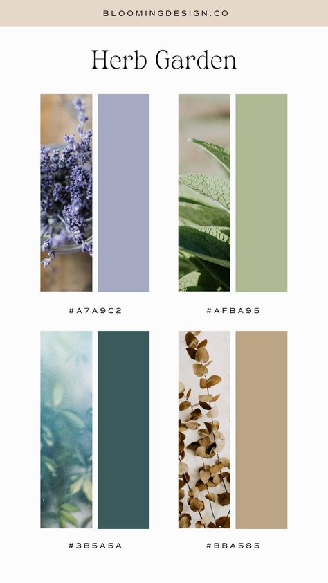 Inspired by an herb garden, these fresh spring colors still have moodiness and depth to create a palette with character. Spring Colour Palette 2023, Spring Decor Colors 2023, Herbs Color Palette, Light Olive Color Palette, Gardening Color Palette, Herb Color Palette, Herbal Color Palette, Fresh Color Scheme, Botanical Colour Palette