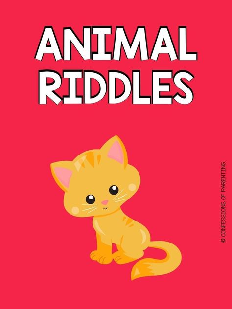 Kids Riddles With Answers, Rabbit Jokes, Riddles Kids, Animal Riddles, Rhyming Riddles, Kinds Of Animals, Riddles For Kids, Riddles To Solve, The Riddle