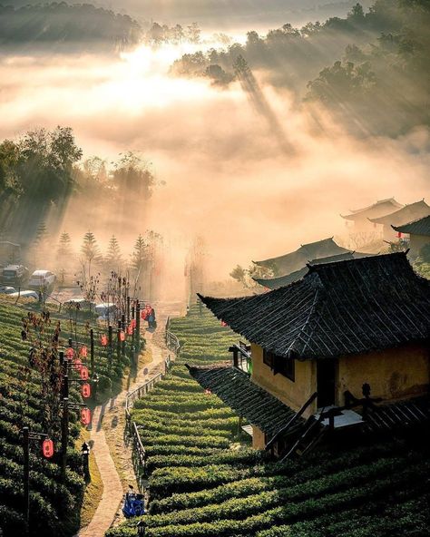 Amazing Thailand on Instagram: "Exuding a perfect serenity and solitude here is Ban Rak Thai village at the northern edge of Mae Hong Son. The morning mists add to the…" Bangkok Tourist, Bangkok Shopping, Mae Hong Son, Bangkok Hotel, Bangkok Travel, Northern Thailand, Koh Samui, Chiang Mai, Thailand Travel