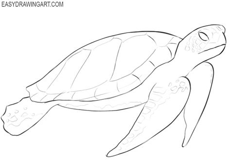 How to Draw a Sea Turtle - Easy Drawing Art Sea Turtle Cartoon Drawing, Turtles Drawing Easy, How To Draw Sea Turtle, Beach Animals Drawing, Turtle Drawings Easy, Turtle Sketch Pencil Drawings, Cute Turtle Drawing Easy, How To Draw A Sea Turtle, Sea Turtle Drawing Sketches