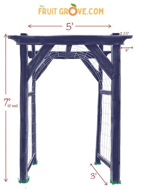 DIY Grape Arbor: Build an Inexpensive Garden Archway (+Video) – The Fruit Grove Vine Support Ideas, Diy Arbor Trellis, Garden Archway Ideas, Garden Arbors And Trellises, Outdoor Archway, Diy Garden Arch, Diy Arbor, Grape Vine Trellis, Arbor Ideas