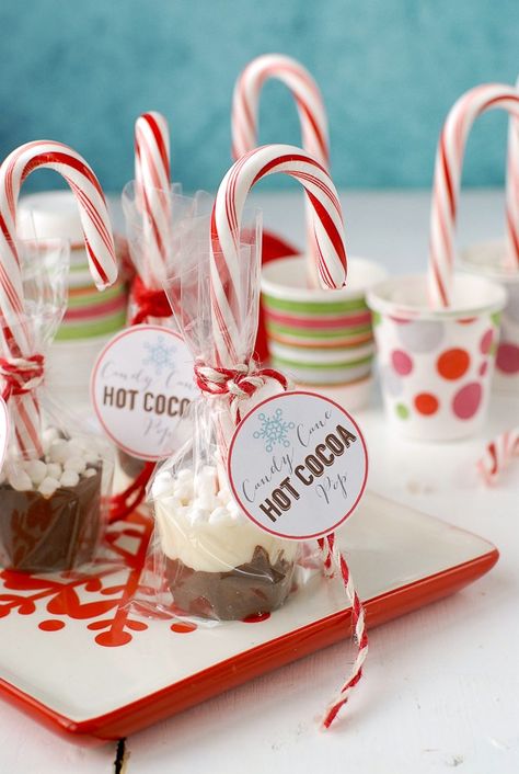 Candy Cane Hot Cocoa Pops from @boulderlocavore Edible Christmas Gifts, Leftover Candy, Leftover Recipes, Peppermint Hot Cocoa, Săpunuri Handmade, Hot Chocolate Gifts, Chocolate Pops, Chocolate Spoons, Peppermint Hot Chocolate