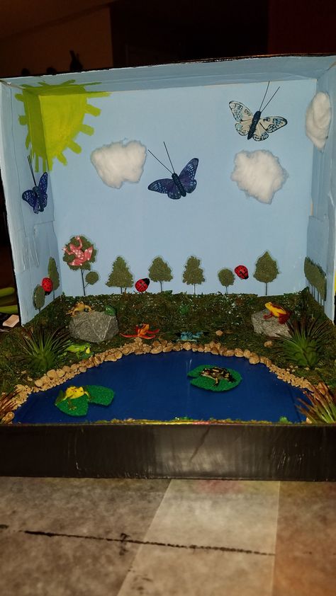 My 4 year old's Shoe box Frog Habitat Diorama Shoe Box Diorama Projects, Freshwater Diorama, Habitats Diorama, Frog Diorama, Butterfly Diorama, Frog Project, Shoe Box Diorama, Habitat Diorama, Monarch Butterfly Habitat