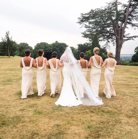 Backless Beauties,  Bridesmaids strutting in Maids to Measure Regent Dresses www.maidstomeasure.com Maids To Measure, August Wedding, Bridesmaids And Groomsmen, Satin Dresses, Bridesmaid Dress, Real Weddings, Wedding Dresses Lace, Bridesmaid Dresses, Satin