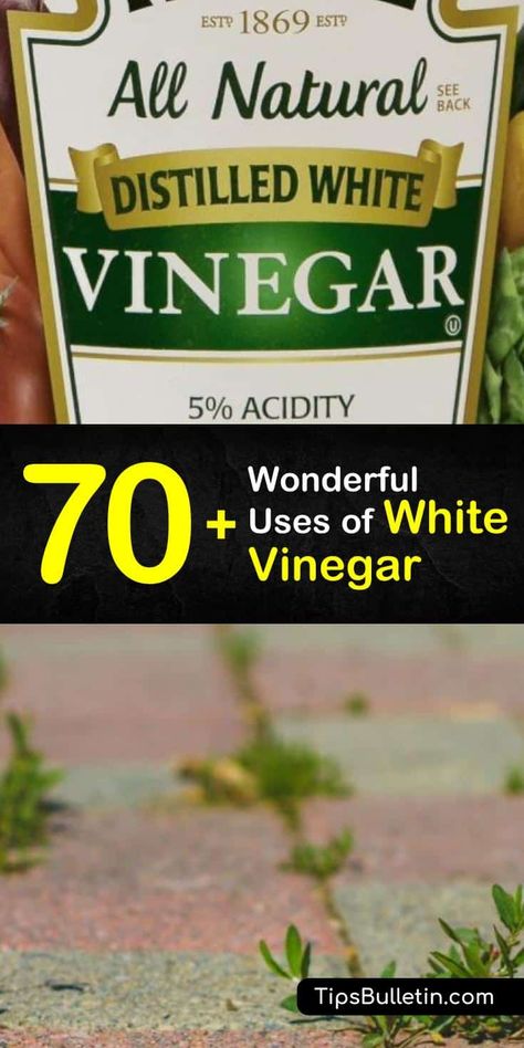 Distilled White Vinegar Laundry, Benefits Of White Vinegar, White Vinegar In Laundry, White Vinegar Uses, Vinegar For Weeds, Vinegar Health Benefits, Vinegar Hacks, Uses For White Vinegar, Vinegar In Laundry