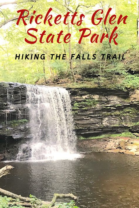 Ricketts Glen State Park Hiking, Ricketts Glen State Park, Ricketts Glen, Road Travel, Yacht Club, Fit Body, Camping Trip, Camping Trips, State Park