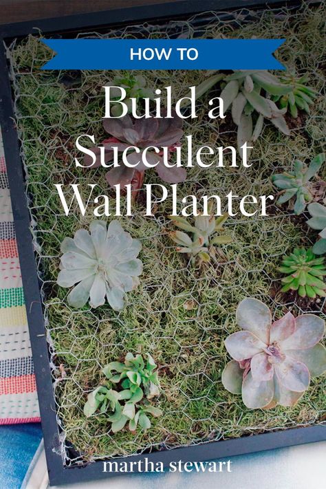 Wall Mounted Succulent Planter, Succulent Outdoor Wall, Succulent Wall Bedroom, Succulent Frame Wall Hangings Diy, Succulent Wall Garden Diy, Vertical Succulent Wall, Succulent Arrangements Wall Hanging, Succulent Vertical Wall, How To Make Succulent Wall Planter