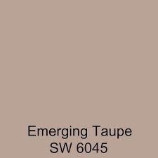 Emerging Taupe Sherwin Williams, Taupe Color Schemes, Sherwin Williams Paint Neutral, Tan Shades, Taupe Bedroom, Hallway Paint, Taupe Colour, Interior Colors, Living Room Arrangements