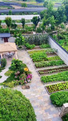 Kebun Herbal, نباتات منزلية, Vegetable Garden Planning, Desain Lanskap, Backyard Vegetable Gardens, Garden Idea, Garden Design Plans, Home Vegetable Garden, Vegetable Garden Design