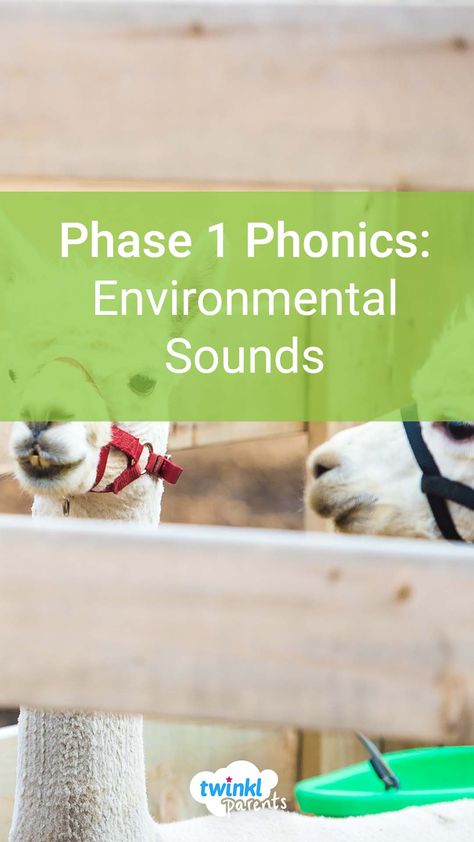 Learn more about what environmental sounds are and how you can support your child. This blog is a perfect guide to help you understand phonics, and engage your child in phonics activities at home. Which activity will you try first? Environmental Sounds Eyfs, Environmental Sounds Activities, Phase 1 Phonics Activities Eyfs, Phase 1 Phonics, Phonics Learning, Sounds Activities, Sound Activities, Listening Games, Phonics Videos