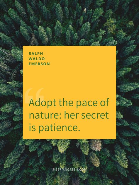 At Siberian Green, we believe in embracing the unhurried wisdom of nature.  Just as nature takes its time to create something truly pure, our ingredients are sourced with care, patience, and respect for the earth. 🌿 Be Patience, Ralph Waldo Emerson, Create Something, The Earth, To Create, Pure Products, Green, Nature