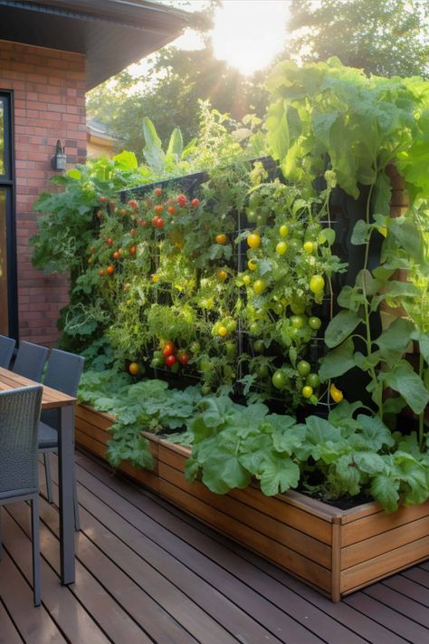 Small Garden Vegetable Layout, Small Garden Design Veggies Planter Boxes, Vertical Garden Small Spaces, Vertical Garden Wall Vegetables, Vertical Garden Outdoor Wall, Porch Raised Garden Bed, Gardening Landscaping Ideas, Vegetable Garden Retaining Wall, Backyard Vertical Garden Ideas