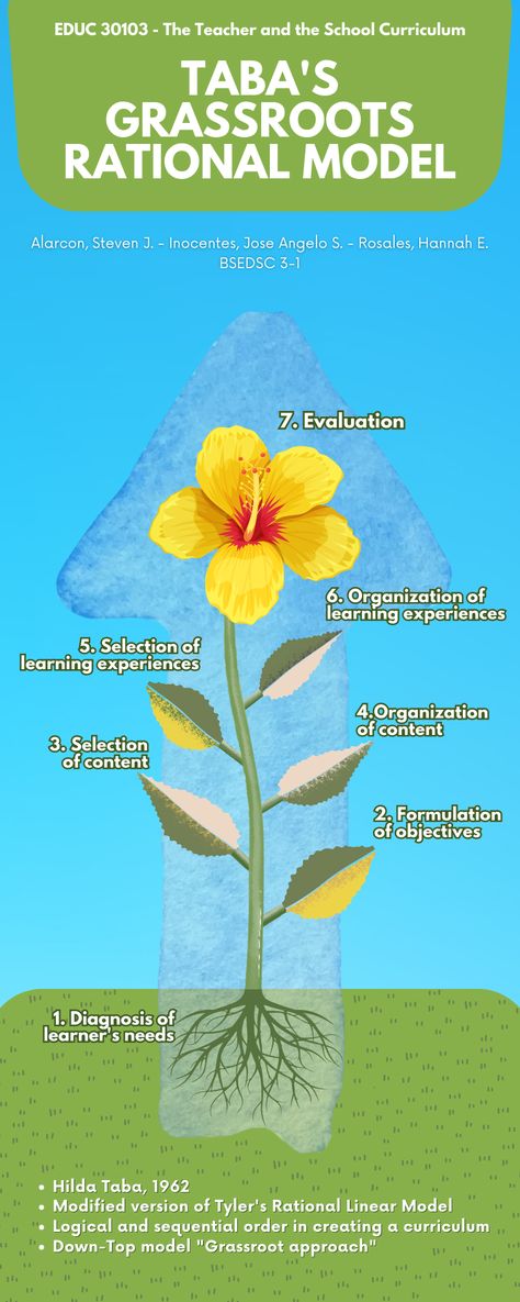 Education model of curriculum development Curriculum Development Models, Curriculum Development, School Curriculum, Presentation, Education, Quick Saves