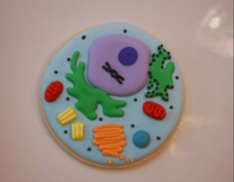 Cell cookie Edible Cell Project, Neuron Model, Edible Cell, Animal Cell Project, Science Cake, Cell Project, Cells Project, Science Birthday, Graduation Party Planning