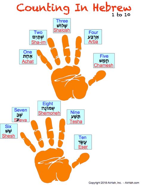 Counting in Hebrew - 1 to 10 Learn Hebrew Alphabet, Hebrew Language Learning, Hebrew Education, Hebrew Vocabulary, Hebrew Writing, Hebrew Language Words, Arte Judaica, Jewish Learning, English To Hebrew