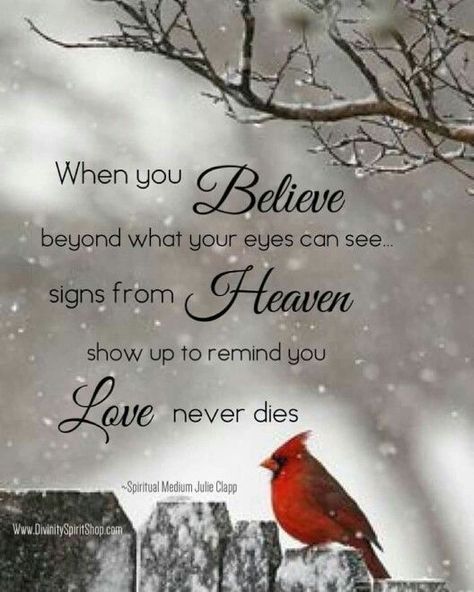 Signs from heaven, Quotes, Miss you mom Signs From Heaven, Lantern Svg, Spiritual Medium, Miss Mom, Lost Loved Ones, Miss You Mom, When You Believe, Love Never Dies, The Crow