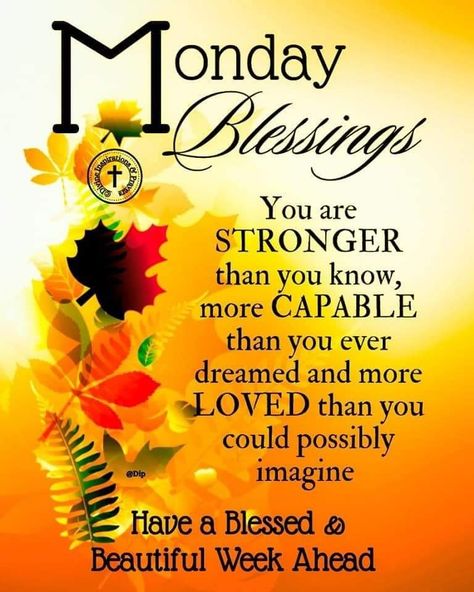 New Week Quotes, Monday Morning Blessing, Monday Greetings, Happy Monday Quotes, Monday Morning Quotes, Good Morning Happy Monday, Happy Wednesday Quotes, Monday Blessings, Good Morning Sweetheart Quotes