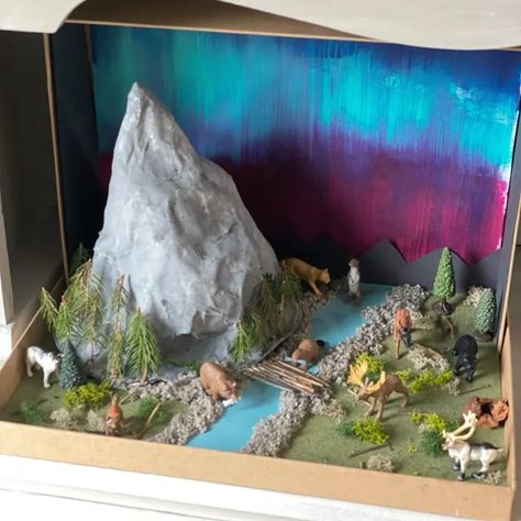 Coyote Habitat Diorama, Artic Habitat Diorama, Diorama Mountain Ideas, Biome Projects Middle School, Mountain Habitat Project, Alpine Tundra Biome Project, Nature Diorama Ideas, Mountain Diaroma, Temperate Forest Diorama