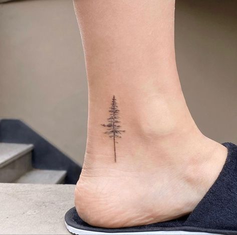 Minimalist Evergreen Tree Tattoo, Small Redwood Tree Tattoo Simple, Fineline Pine Tree Tattoo, Spruce Tree Tattoo Small, Fine Line Redwood Tree Tattoo, Pine Tree Tattoo Forearm Women, Tree On Ankle Tattoo, Sequoia Tattoo Small, Ankle Tree Tattoos For Women