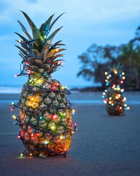 For tropical Christmas and Holiday decor Christmas Luau, Tropical Christmas Decorations, Tiki Christmas, Christmas Coconut, Christmas Tropical, Greek Christmas, Pineapple Christmas, Hawaii Christmas, Hot Christmas