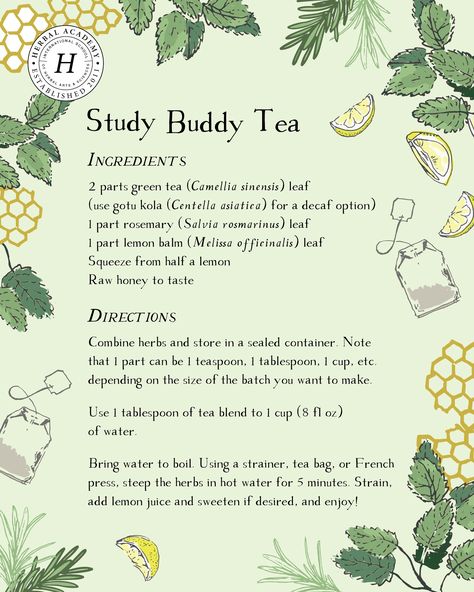 Homemade Tea Blends Recipes, Herbal Elixir Recipes, Thyme Tea Recipe, Homemade Tea Blends, Herbal Tea Recipes Homemade, Healing Tea Recipes, Herbal Tea Recipes, Tea Blends Recipes, Herbal Academy