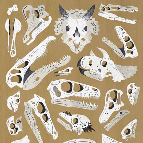 Paleo Art Wallpaper, Dinosaur Skull Illustration, Dinosaur Bones Illustration, Dinosaur Moodboard, Paleontology Illustration, Dinosaurus Art, First Class Degree, Museum Ticket, Fossil Art