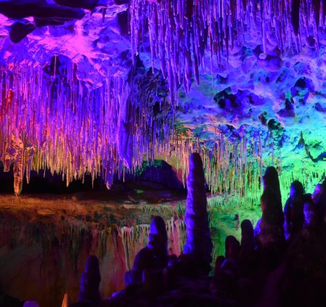 Florida Caverns, Florida Caverns State Park, Cave System, Tropical Landscape, Rainbow Light, Neon Aesthetic, Tropical Landscaping, Sunshine State, Florida Travel