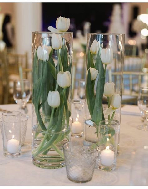 Senter Peaces Table Wedding, Wedding Table Tulips, Wedding White Tulips, Simple White Flower Centerpieces, Tulip Wedding Theme Table Settings, Spring Wedding Tulips Centerpiece Ideas, Spring Wedding Flowers Centerpieces White Tulips, Tulip Wedding Centerpieces, Tulip Centerpieces Wedding