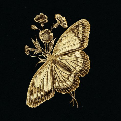 Black And White Gold Aesthetic, Black And Gold Aesthetic Vintage, Gold Elements Design, Gold Butterfly Aesthetic, Indian Moodboard, Gold Vintage Aesthetic, Dark Gold Aesthetic, Gold Aesthetic Pictures, Vintage Gold Aesthetic