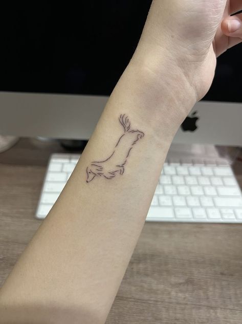 Dachshund Dog Tatoo 2 Dachshund Tattoo, Dachshund Flower Tattoo, Dachshund Face Tattoo, Longhaired Dachshund Tattoo, Long Haired Dachshund Tattoo Ideas, Picasso Dachshund Tattoo, Multiple Dogs Tattoo, Weenie Dog Tattoo Dachshund, Dachshund Memorial Tattoo