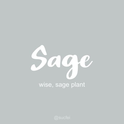 Sage Name Meaning, Sage Name, Sage Plant, Middle Names, Dream Family, Future Family, Names With Meaning, Boy Names, Family Life