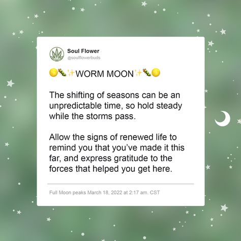 2022 Full Moon Calendar - Full Moon Wisdom - Soul Flower Blog Full Moon Calendar, Full Buck Moon, Full Strawberry Moon, Free Spirit Art, Sturgeon Moon, Moon Names, Cold Moon, Healing Magic, Moon Calendar