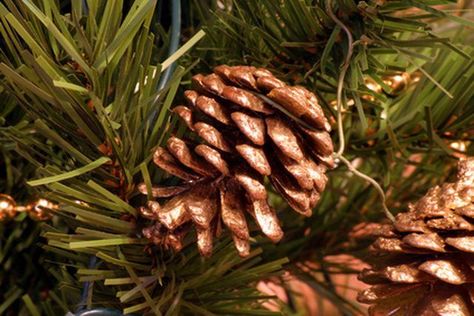 Dry pine cones in the oven Winter Potpourri, Cinnamon Broom, Homemade Potpourri, Scented Pinecones, Pine Cone Christmas Tree, Cinnamon Essential Oil, Dried Apples, Pine Cone Crafts, Create Decor