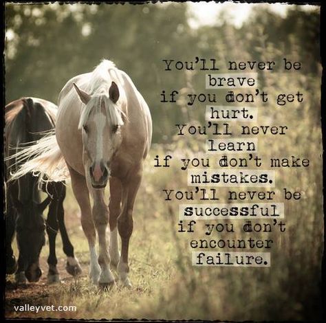 Love this saying so much, for those who fall are better than those who never fell. Horsemanship Quotes, Horse Poems, Livestock Quotes, Horse Healing, Rodeo Quotes, Equine Quotes, Male Horse, Inspirational Horse Quotes, Horse Riding Quotes