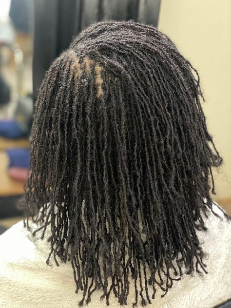 Stunning Micro Braids for All Hair Types Small Loc Extensions, Extra Small Locs, Loc Extensions Human Hair, Small Dreads, Small Locs, Hair Dreadlocks, Natural Dreadlocks, Micro Locs, Sister Locs