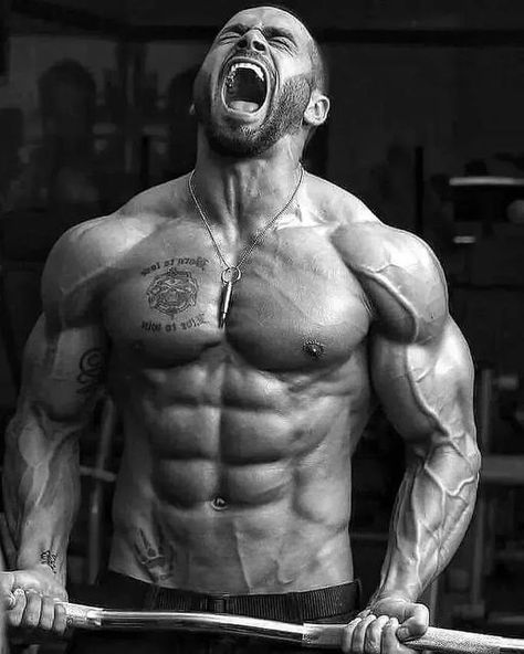 Lazar Angelov Workout, Chest Workouts For Men, Lazar Angelov, Workouts For Men, Workout Chest, Fitness Aesthetics, Chest Workout For Men, Schwarzenegger Bodybuilding, Sixpack Workout