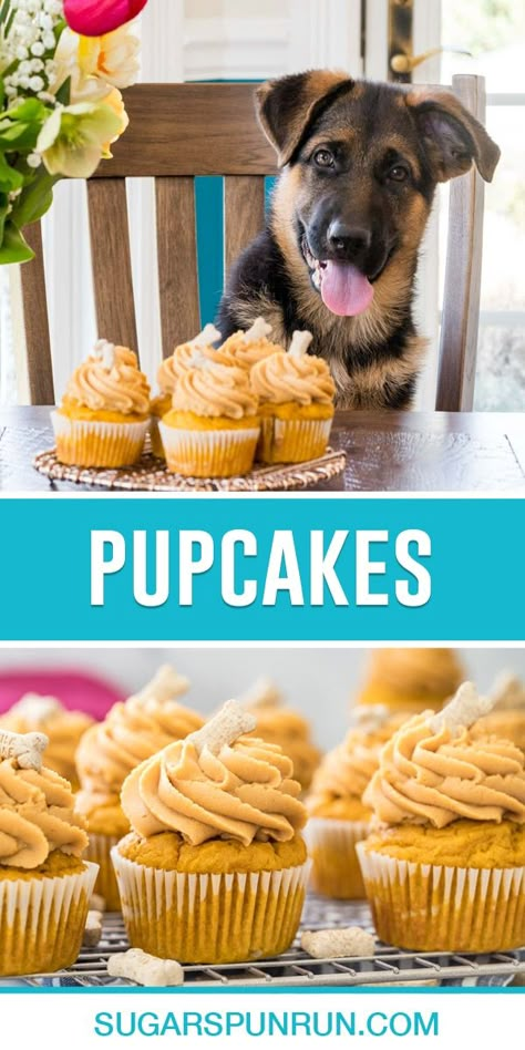 Peanut Butter Cupcakes For Dogs, Peanut Butter Frosting For Dogs, Cake Pops For Dogs Recipe, Dog Friendly Cake Frosting, Frosting For Dogs Recipes, Cake Frosting For Dogs, Pumpkin Cupcakes For Dogs, Pup Cakes Recipe Easy, Pupcakes Dog Easy Pumpkin