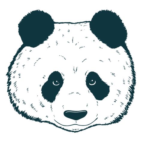 Panda Head, Cute Png, Face Illustration, Vector Artwork, Create T Shirt, Design Ad, Png Design, Svg Design, Png Image