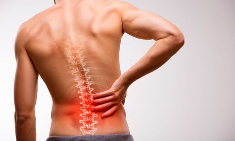 Many massage therapists likely agree we help clients relax the dense, tense muscles and connective tissue that contribute directly to back pain—but how many of us feel we have a role in awakening and facilitating muscular recruitment in our clients? Bolesti Chrbta, Causes Of Back Pain, Relieve Back Pain, Body Support, Poor Posture, Low Back Pain, Shoulder Pain, Back Pain Relief, Sciatica