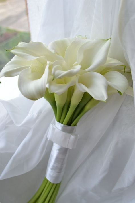 Subtelnie White Calla Lily Aesthetic, Arum Lily Bouquet, Calilily Flower, Calla Lily Aesthetic, Calle Lily, Cala Lillies, Arum Lilies, Calla Lily Bridal Bouquet, Calla Lily Bridal