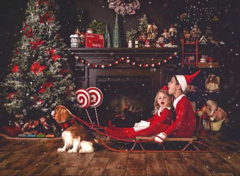 Magical elves go on a sleigh ride with their trusty cavalier to guide them Elf On The Shelf Photoshoot, Sleigh Ride, On The Shelf, Elf On The Shelf, Go On, Elf, Festival, Dogs, Animals