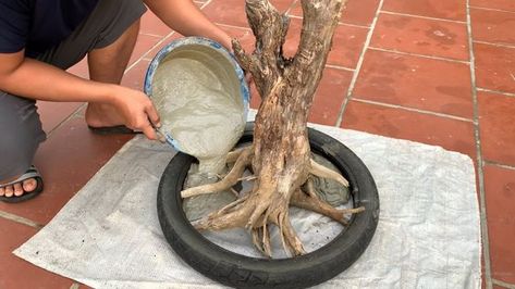 Cement Art Diy Ideas, Manualidades Para Jardin Ideas, Cement Garden Projects, Cement Art Diy, Ideas Para El Patio, Cement Tree, Concrete Diy Garden, Garden Ideas Patio, Rotten Wood