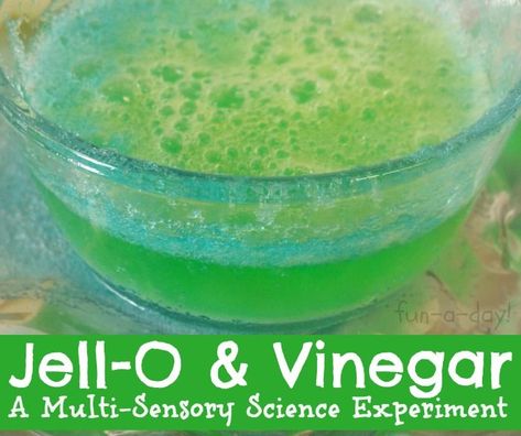 Some messy science fun for screen-free week -- A Multi-Sensory Experiment with Jell-O and Vinegar Family And Friends Science Activity, Smell Science Experiment, Sense Of Smell Activities For Toddlers, Grinch Activities, Messy Science, Toddler Science, Sensory Science, Fun Experiments, Pre-k Science