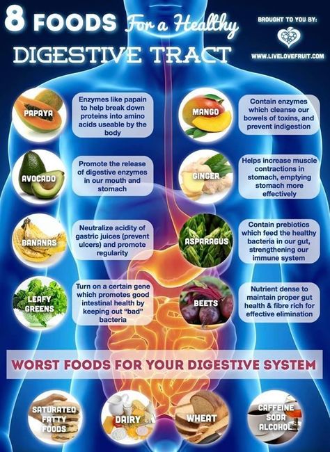 Fifth Week Post- 12-3-15 Here is a list of 8 foods for a healthy digestive tract.  www.livelovefruit.com Gastric Juice, Food For Digestion, Digestive Tract, Easy Meditation, Leaky Gut, Grapefruit Juice, Digestive Enzymes, Healthy Gut, Digestive System