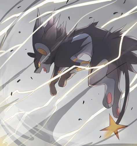 Luxray Pokemon, Pokemon Alola, Pokemon Oc, Pokemon Memes, Cute Pokemon Wallpaper, Pokemon Teams, Pokemon Drawings, All Pokemon, Pokemon Fan Art