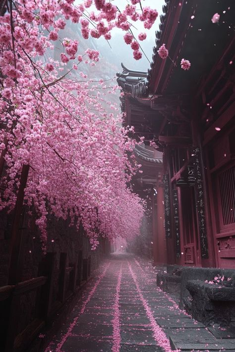 Experience the Magic of Cherry Blossoms in Japan🌸 Visit Japan in spring to witness the stunning cherry blossoms in full bloom. Enjoy hanami (flower viewing) in parks and gardens across the country. 🌿🌸 #CherryBlossoms #SpringTravel Cherry Blossom In Snow, Cherry Blossom Japan Aesthetic, Japanese Cherry Blossom Trees, Japan Aesthetic Cherry Blossoms, Cherry Blossom Season Japan, Spring Park Aesthetic, Japan Spring Aesthetic, Japan Cherry Blossom Aesthetic, Japan Astetic