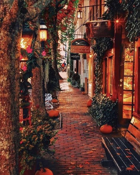 Salem Massachusetts Travel, Massachusetts Aesthetic, Massachusetts Travel, Zell Am See, New England Fall, Autumn Magic, Japon Illustration, Autumn Scenes, Autumn Scenery