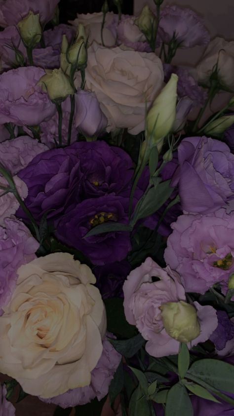 Purple Roses Aesthetic Wallpaper, Roses Aesthetic Purple, Violets Aesthetic Flower, Rose Purple Aesthetic, Violet Color Aesthetic, Purple Flower Bouquet Aesthetic, Purple Rose Aesthetic, Violet Flower Aesthetic, Purple Roses Aesthetic